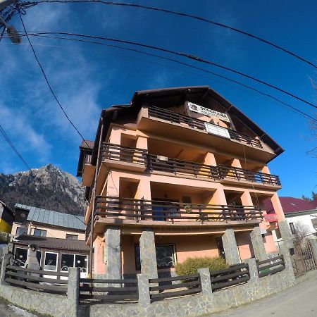 Pensiunea N.A.M Buşteni Exterior foto