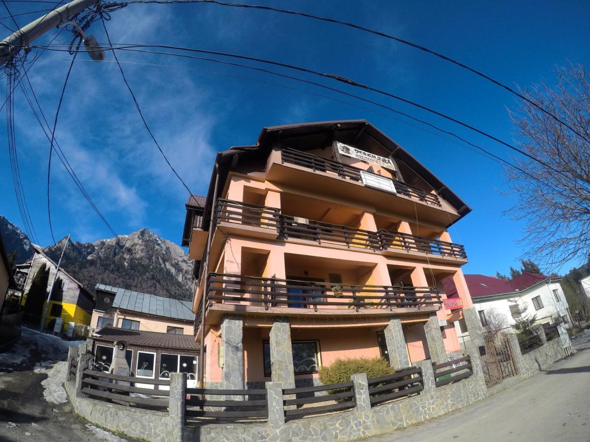 Pensiunea N.A.M Buşteni Exterior foto
