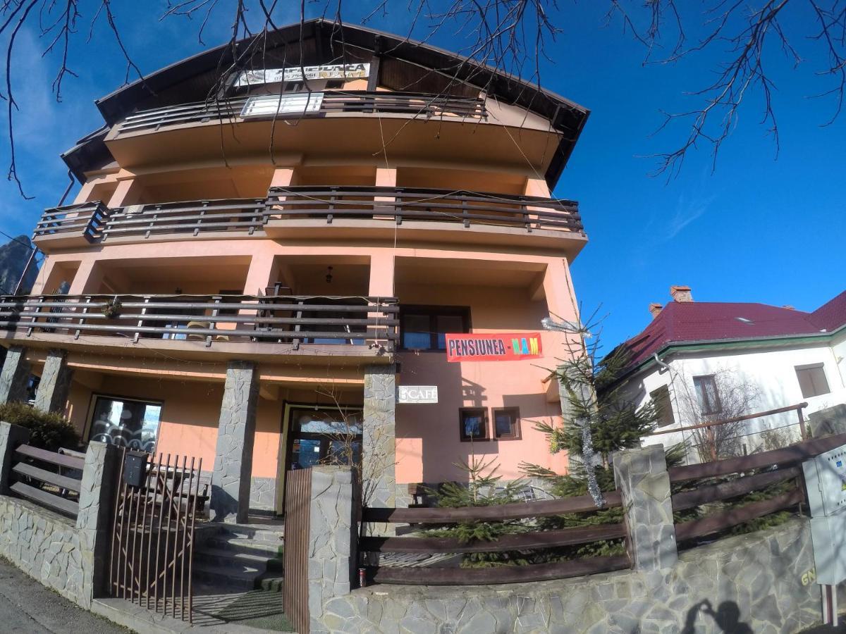 Pensiunea N.A.M Buşteni Exterior foto