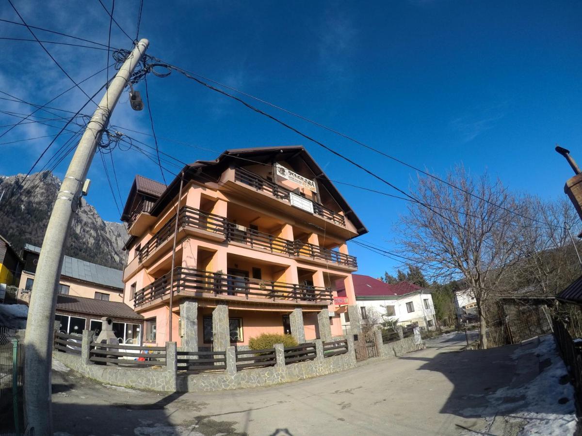 Pensiunea N.A.M Buşteni Exterior foto
